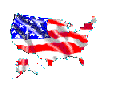 USA-State Flag